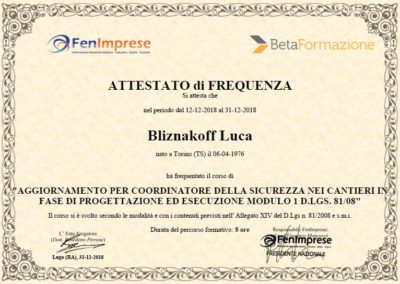 Corso di aggiornamento Cordinatore della sicurezza nei cantieri geometra Luca Bliznakoff BlizStudio Trieste